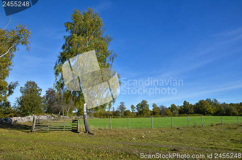 Image of Rural autumn view