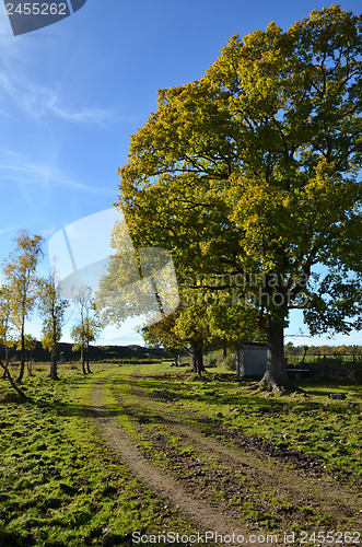 Image of Countryside road