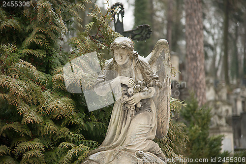 Image of Lychakiv Cemetery