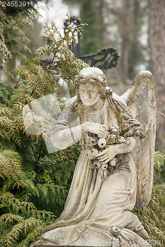 Image of Lychakiv Cemetery