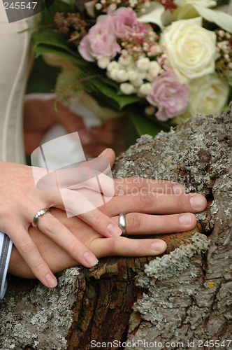 Image of Wedding rings