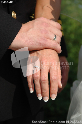 Image of Wedding couple holding hands