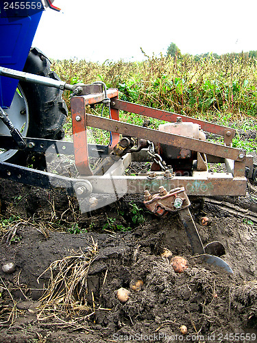 Image of Process of harvesting of a potato