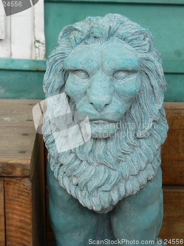 Image of Lion