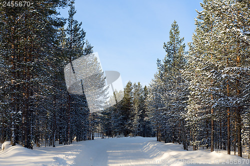 Image of winter landscape