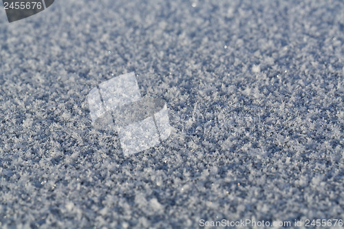 Image of frost