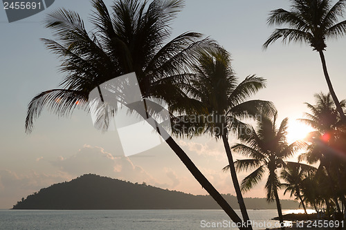 Image of silhouettes of palm trees at sunset