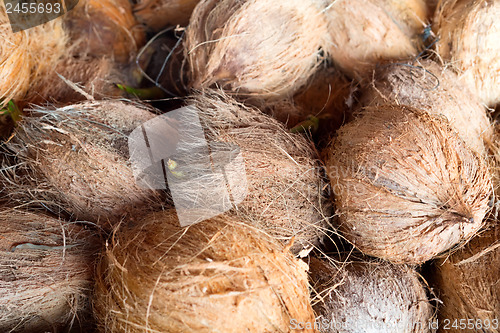 Image of coconuts