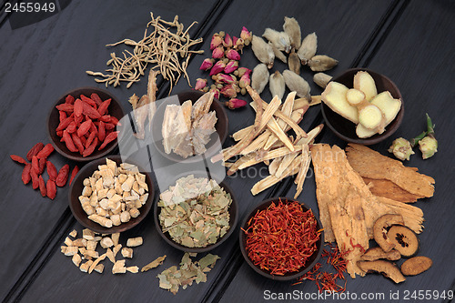 Image of Herbal Therapy