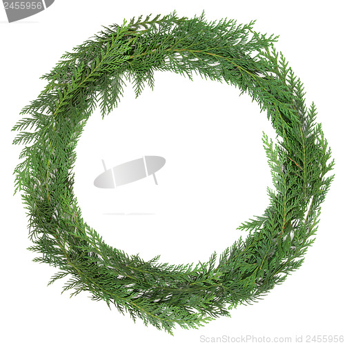 Image of  Cedar Cypress Wreath