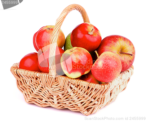 Image of Autumn Apples