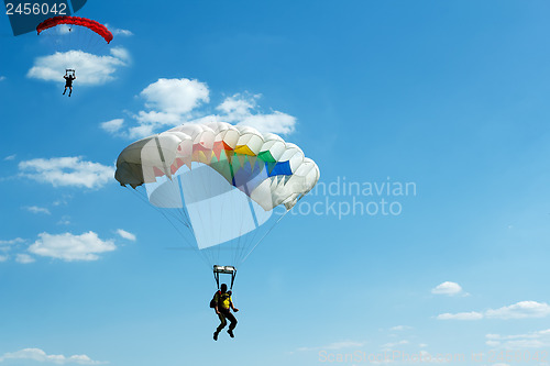 Image of unidentified skydivers on blue sky