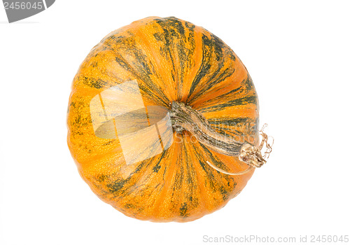 Image of top view of fresh orange pumpkin