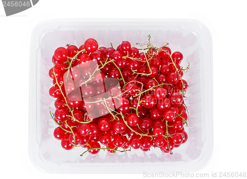 Image of pile berries of red currant on white background