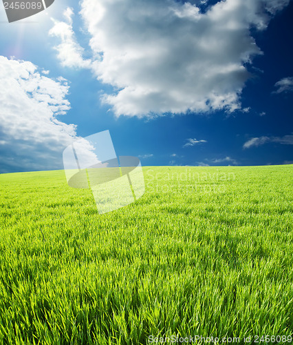 Image of green grass under cloudy sky