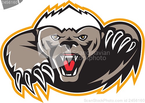 Image of Honey Badger Mascot Claw