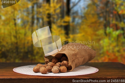 Image of Walnuts on Table