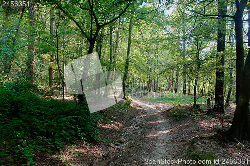 Image of Hiking in summer Italy