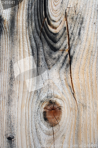 Image of Beautiful cracked wood texture