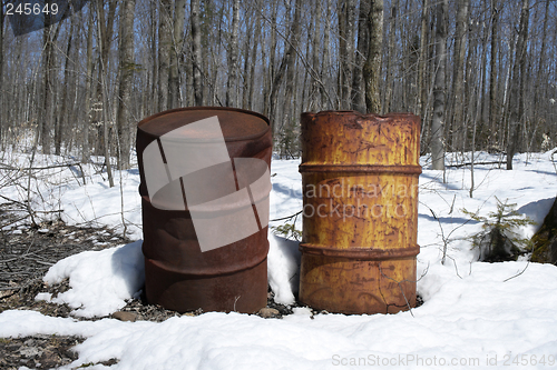 Image of Rusty barrels in the forest