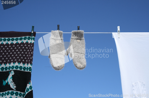 Image of Spring laundry