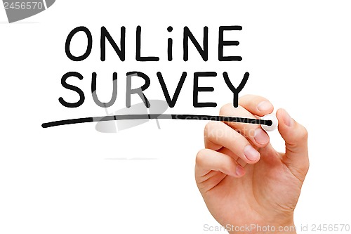 Image of Online Survey