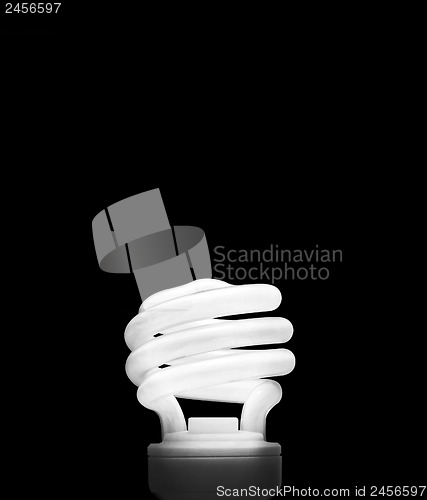 Image of Fluorescent Light Bulb