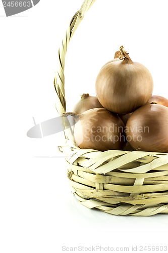 Image of Ripe golden onions 