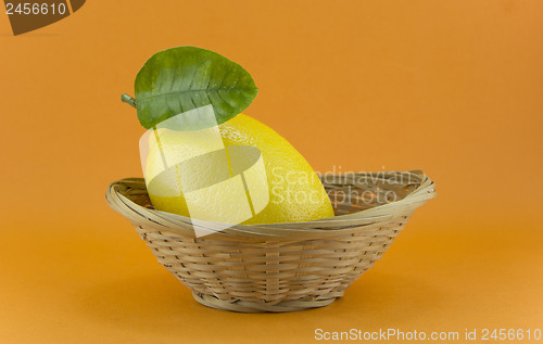 Image of yellow ripe lemon 