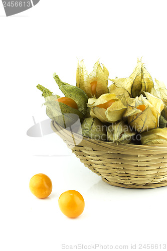 Image of Cape gooseberry