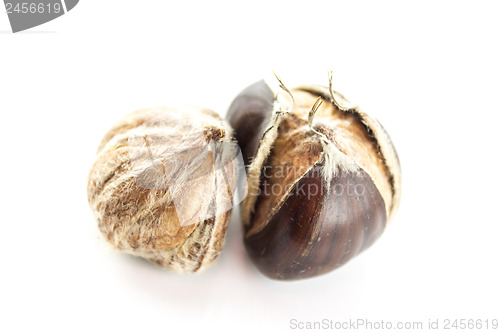 Image of Sweet chestnuts 