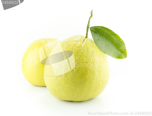 Image of Bergamot oranges 