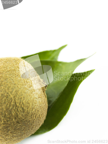 Image of  kiwi fruit 