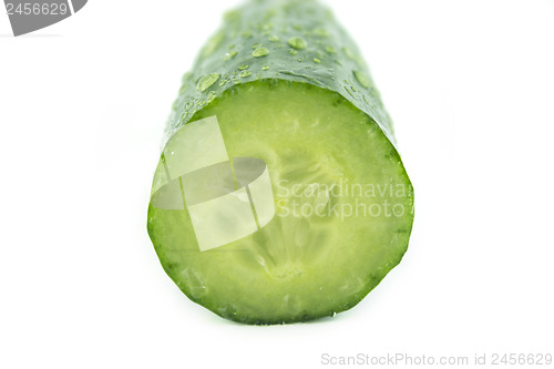 Image of Fresh Cucumber