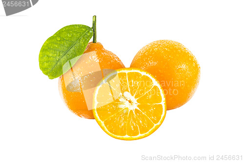 Image of Sweet orange