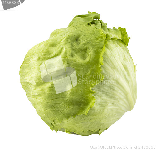 Image of Green Iceberg lettuce