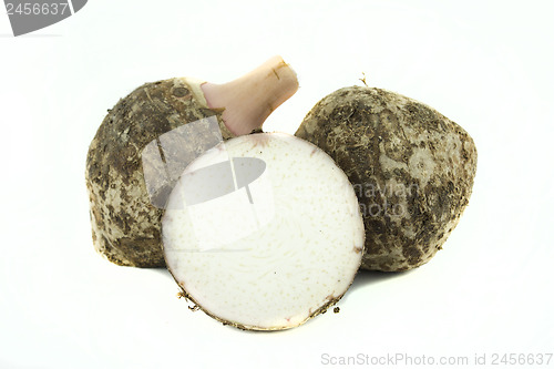 Image of fresh taro root 