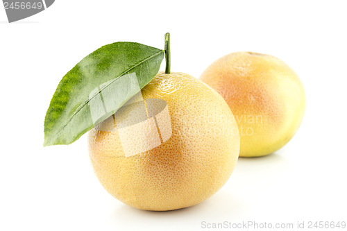 Image of Ripe appetizing grapefruit 