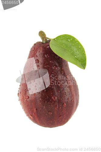 Image of Fresh Red Pears