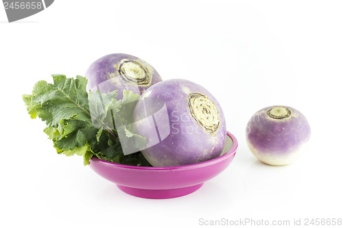 Image of purple headed turnips 