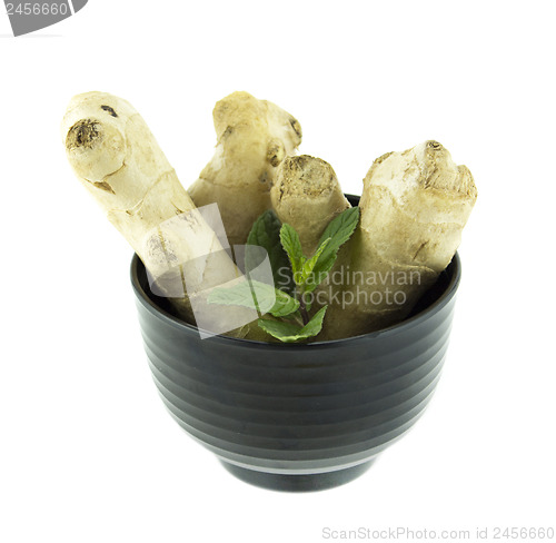 Image of Fresh Ginger root 