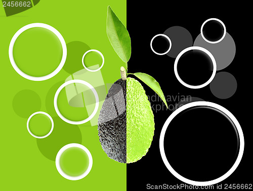Image of Avocados