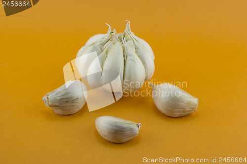 Image of Garlic