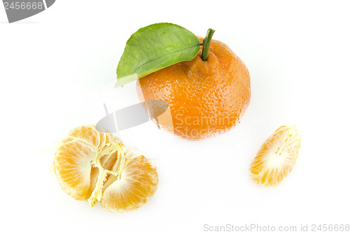 Image of tangerine