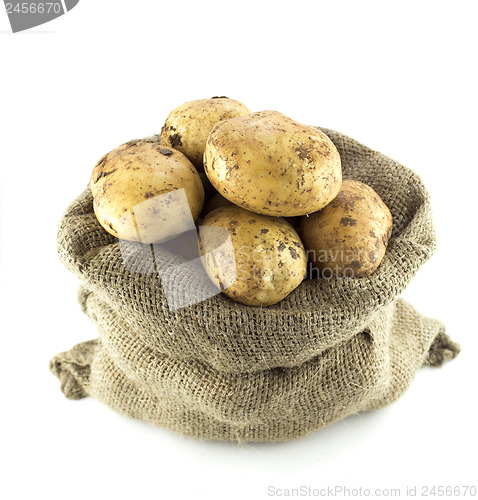 Image of potatoes in burlap sack