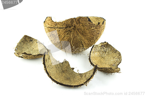 Image of cracked coconut shell 