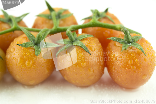 Image of fresh cherry tomatoes