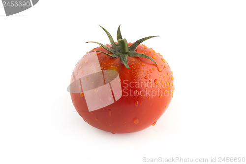 Image of fresh tomatoes