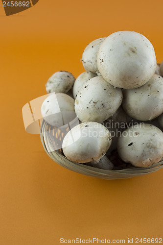 Image of button mushrooms 