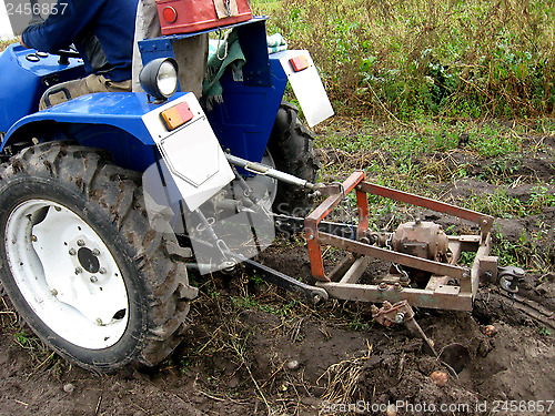 Image of Process of harvesting of a potato